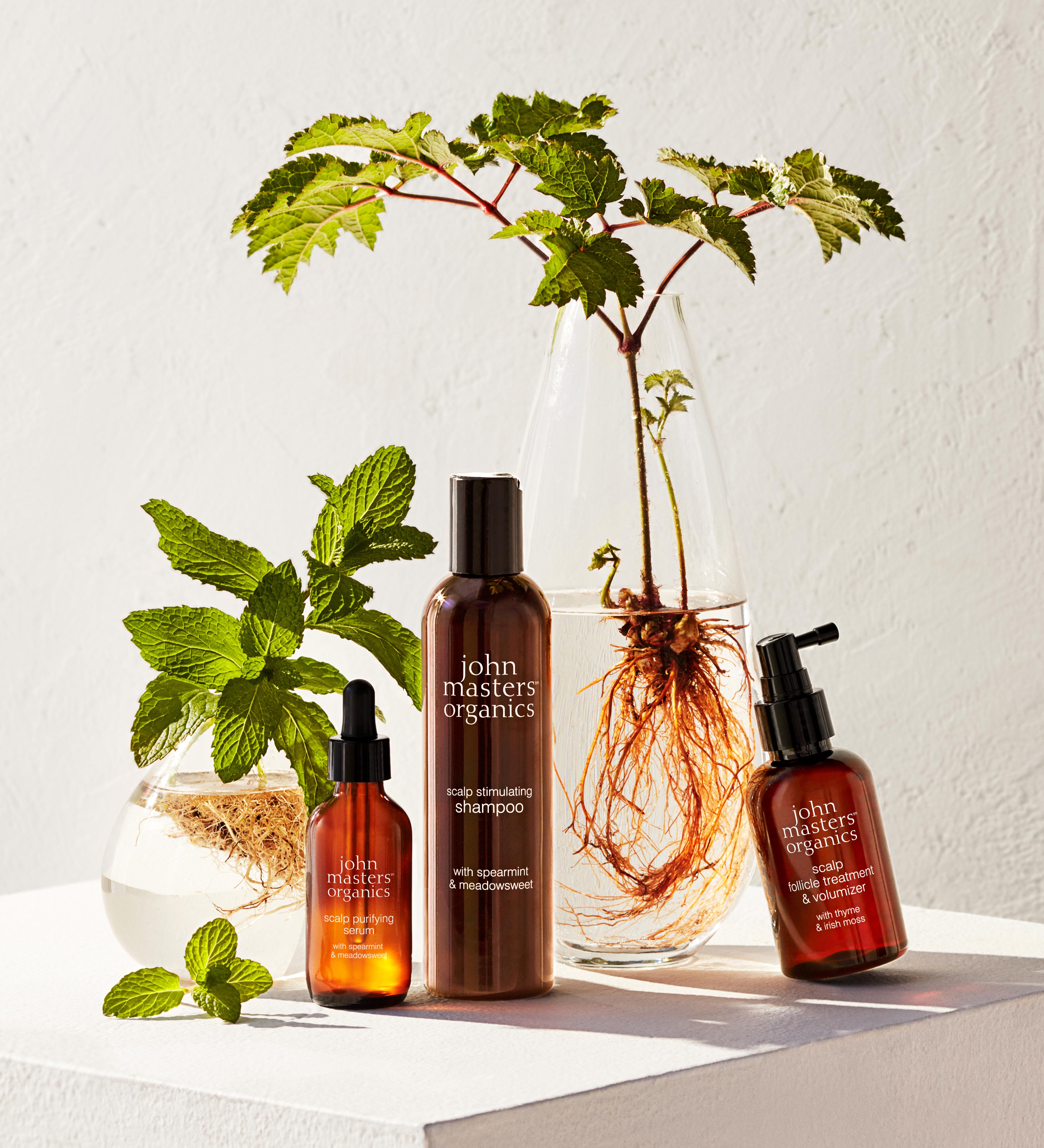 Collection purifiante et stimulante